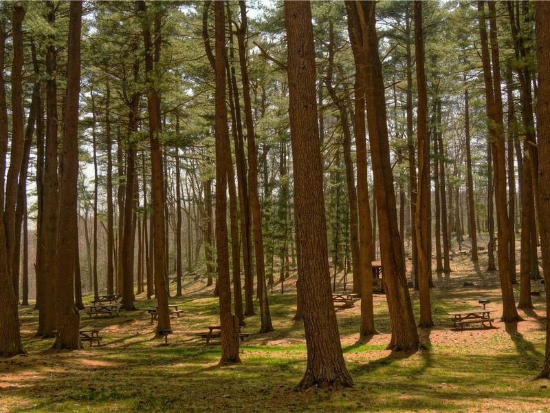 sudoku solution check screenshot 3