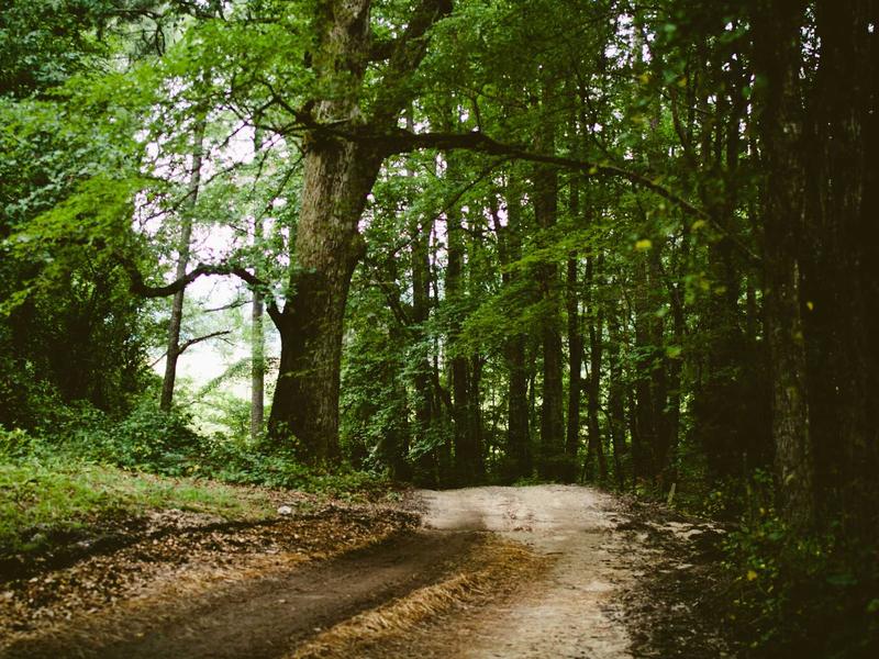 sudoku solution check